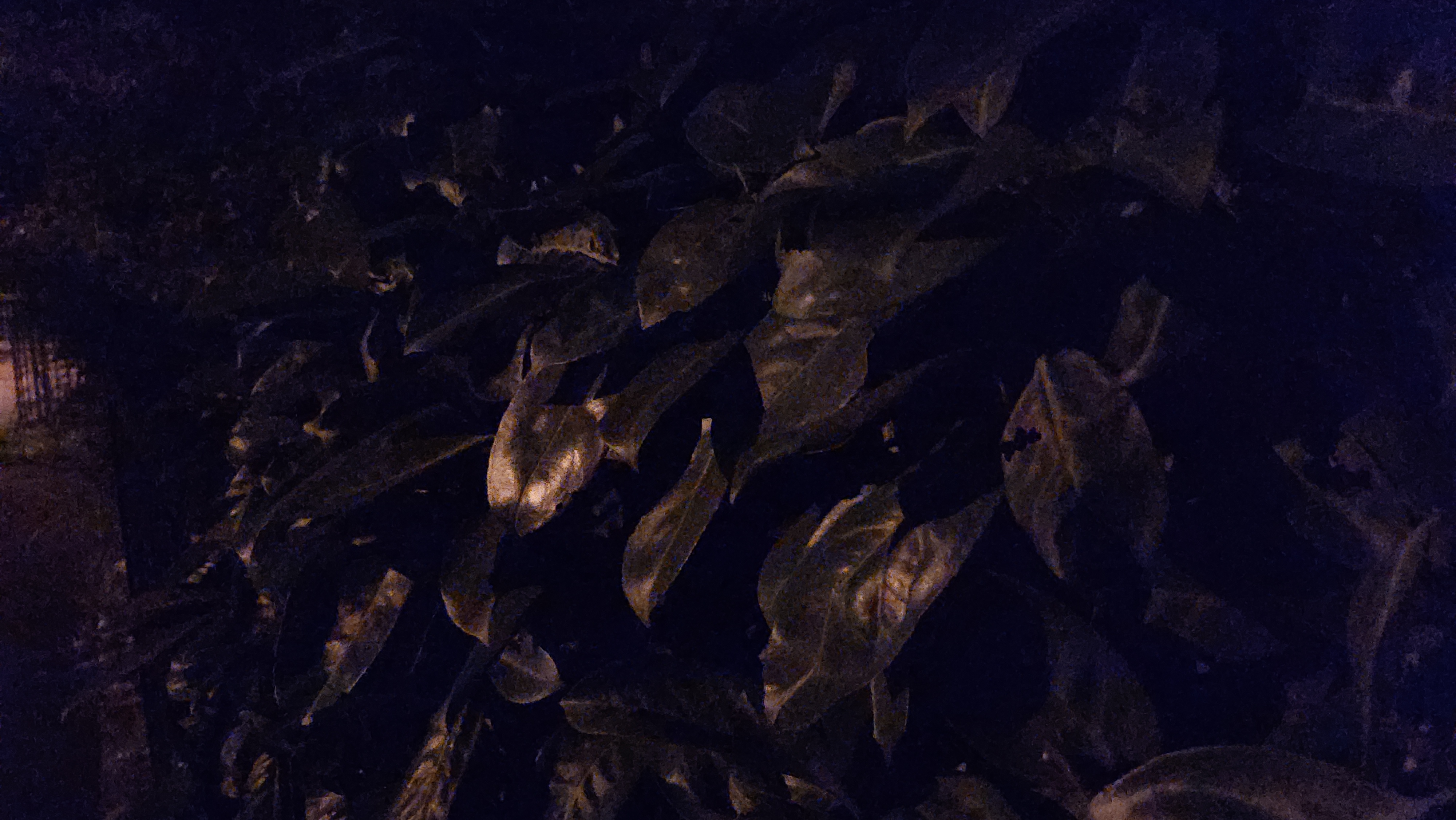 Galaxy Z Flip 4: Aufnahme bei Nacht ohne Nachtmodus.