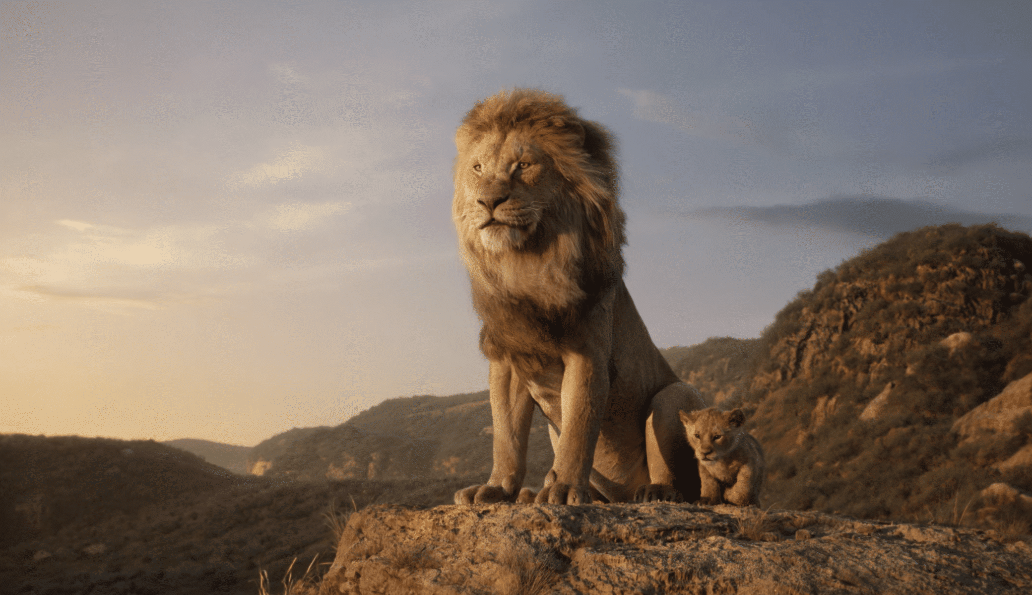 Der König der Löwen 2019 Film-Remake.